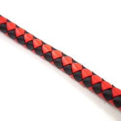 The Master Whip