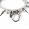 Spiked Stainless Steel Bondage Kit