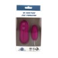 10 Function Egg Vibrator