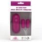 10 Function Dual Bullets Vibrator