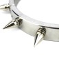 Male And Female Stainless Steel Spiked Dog Collars