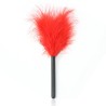 Bondage Fancy Feather Tickler