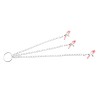 Nipple Clamps and Clit Clamp with Chain