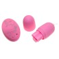 Remote Control Egg
