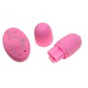 Remote Control Egg