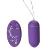 Remote Control Egg