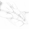 Strict Leather Premium Armbinders - Fastens