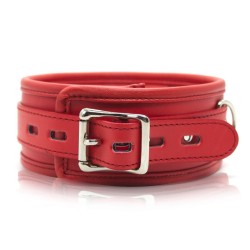 Thick D Ring Neck Collar