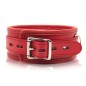 Thick D Ring Neck Collar