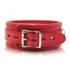 Thick D Ring Neck Collar