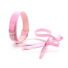 Fur Lined Collar with Leash