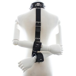 Neck To Locking Wrist Restraint