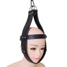 Head Immobilization Harness