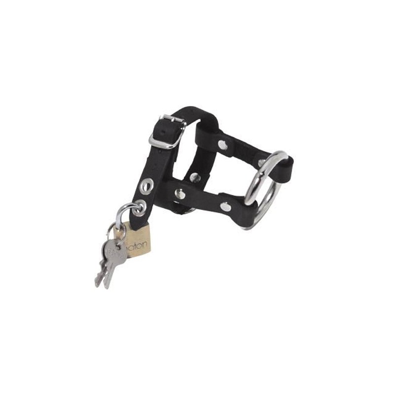 Locking Cock and Ball Ring