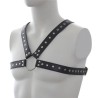 Leather Harness with Stud Detailing