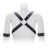 Male Chest Harness With Arm Cuffs