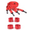 Class Under The Bed Restraint System
