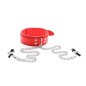 D Ring Bondage Collar With Nipple Clamp