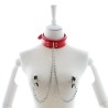 D Ring Bondage Collar With Nipple Clamp