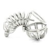 Full Cock &amp; Ball Cage Chastity with Urethral Sound