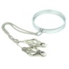 Chrome Slave Collar With Japanese Clover Clamps