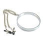 Chrome Collar with Nipple Clamps