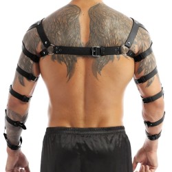 Arm and Shoulder Restraints Harness