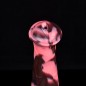 Squirting Steed Dildo - C Squirting Steed Dildo - C