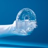 Realistic Jelly Feel Dildo