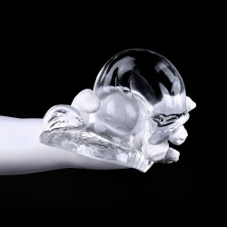 Phoenix Transparent Dildo