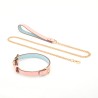 Double Layer Collar and Leash