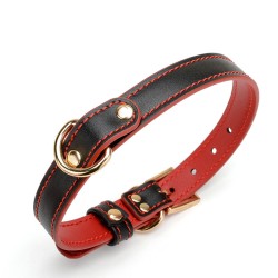 Double Layer Collar and Leash