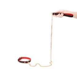 Double Layer Collar and Leash