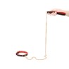 Double Layer Collar and Leash