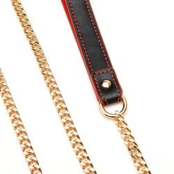 Double Layer Collar and Leash