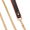 Double Layer Collar and Leash