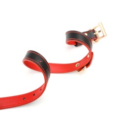 Double Layer Collar and Leash
