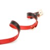 Double Layer Collar and Leash