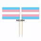 D704 Pride Toothpick Flag-100pcs