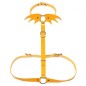 Wing Collar Belly Belt