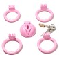 Labia Chastity Cage