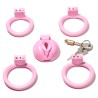 Labia Chastity Cage