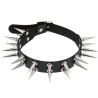 Double Row Long Spiked Rivet Collar