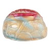 Pocket Silicone Glans Trainer - Fish