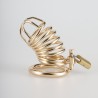 Gold Metal Chastity Cage Device
