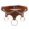 Five Star Chain Collar