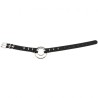 Double Ring Spiked Stud nCollar