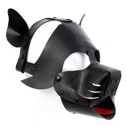 Detachable Dog Hoods