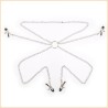 Four Nipple Clamps With Chain