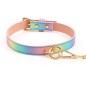 Laser Color Neck Collar